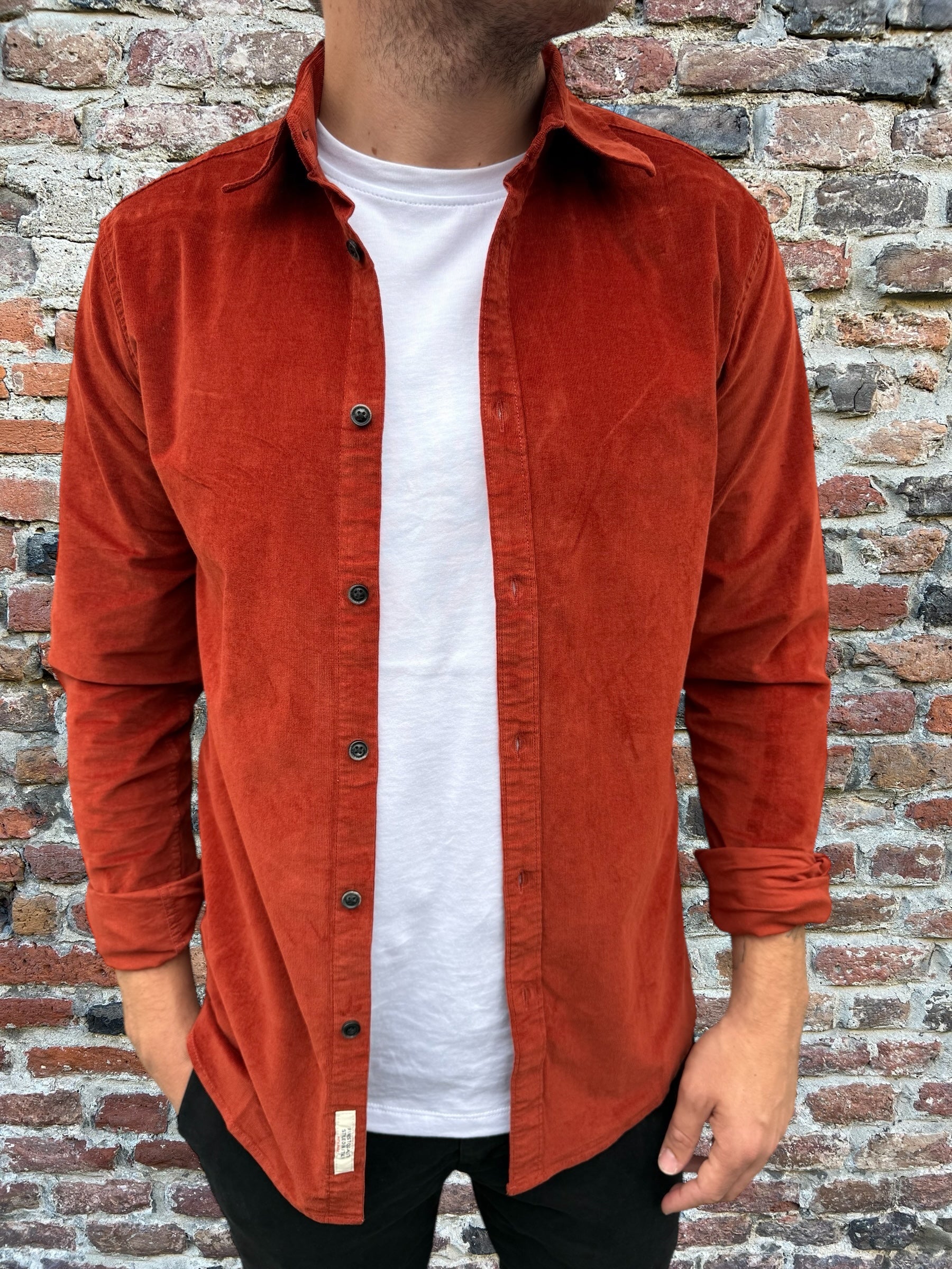 Camicia Gianni Lupo Velluto 8007 Coccio (12242117919060)