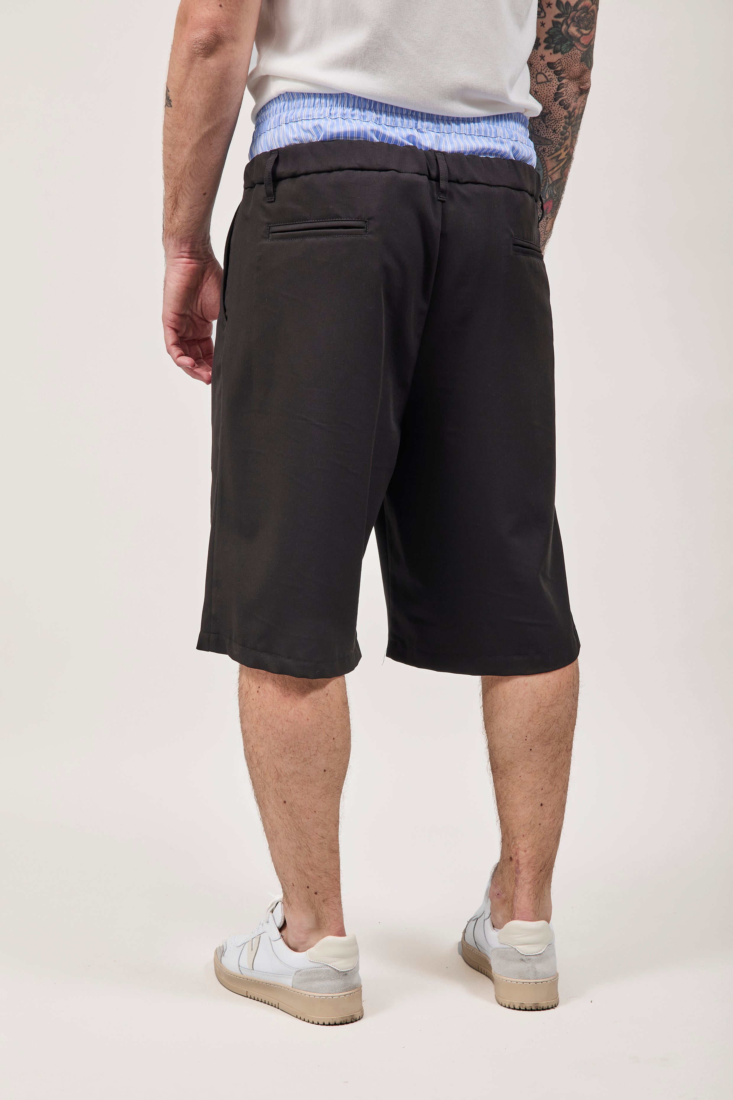 Bermuda Imperial Boxer