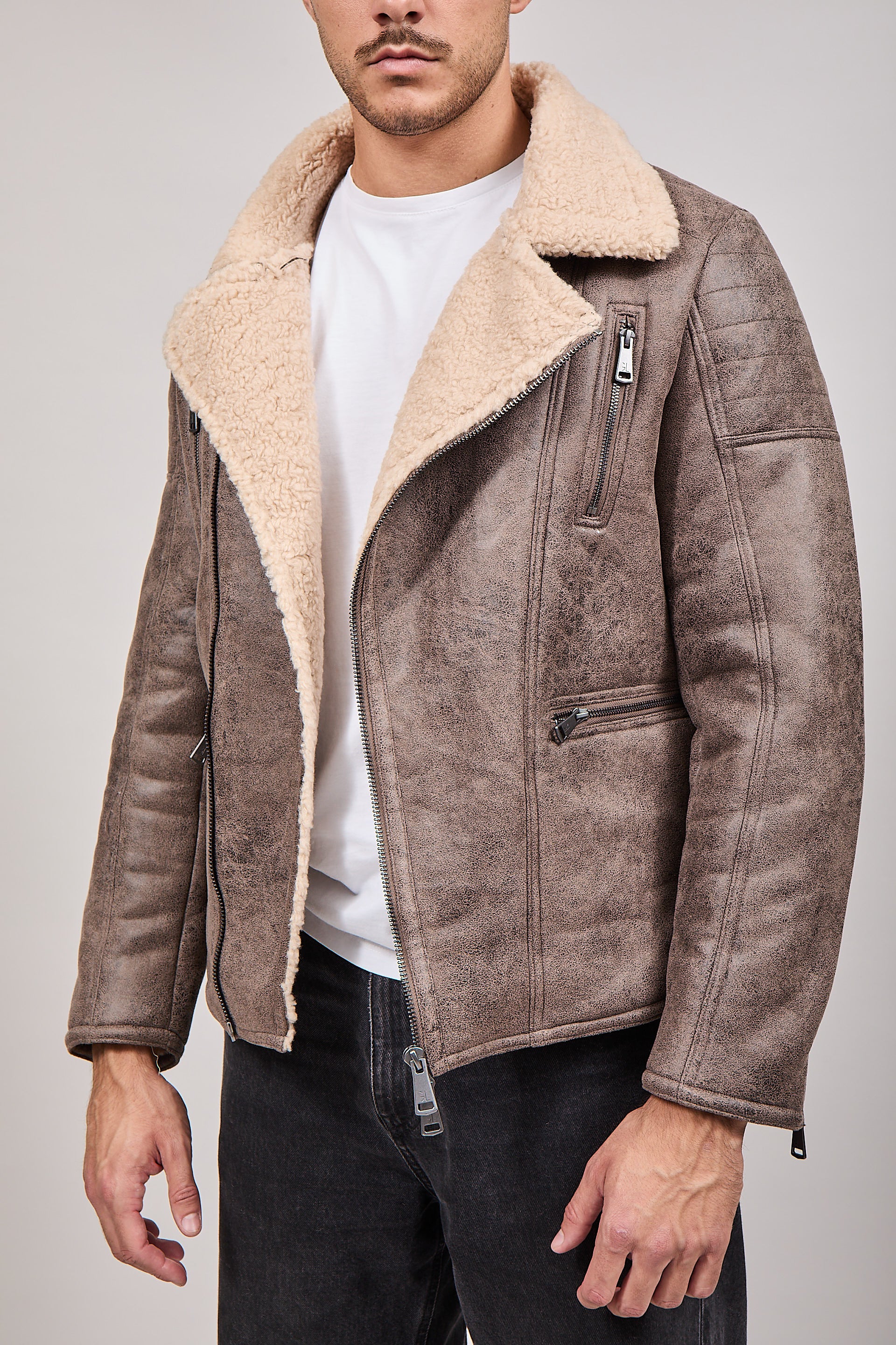 Montone Gianni Lupo Tortora 9824