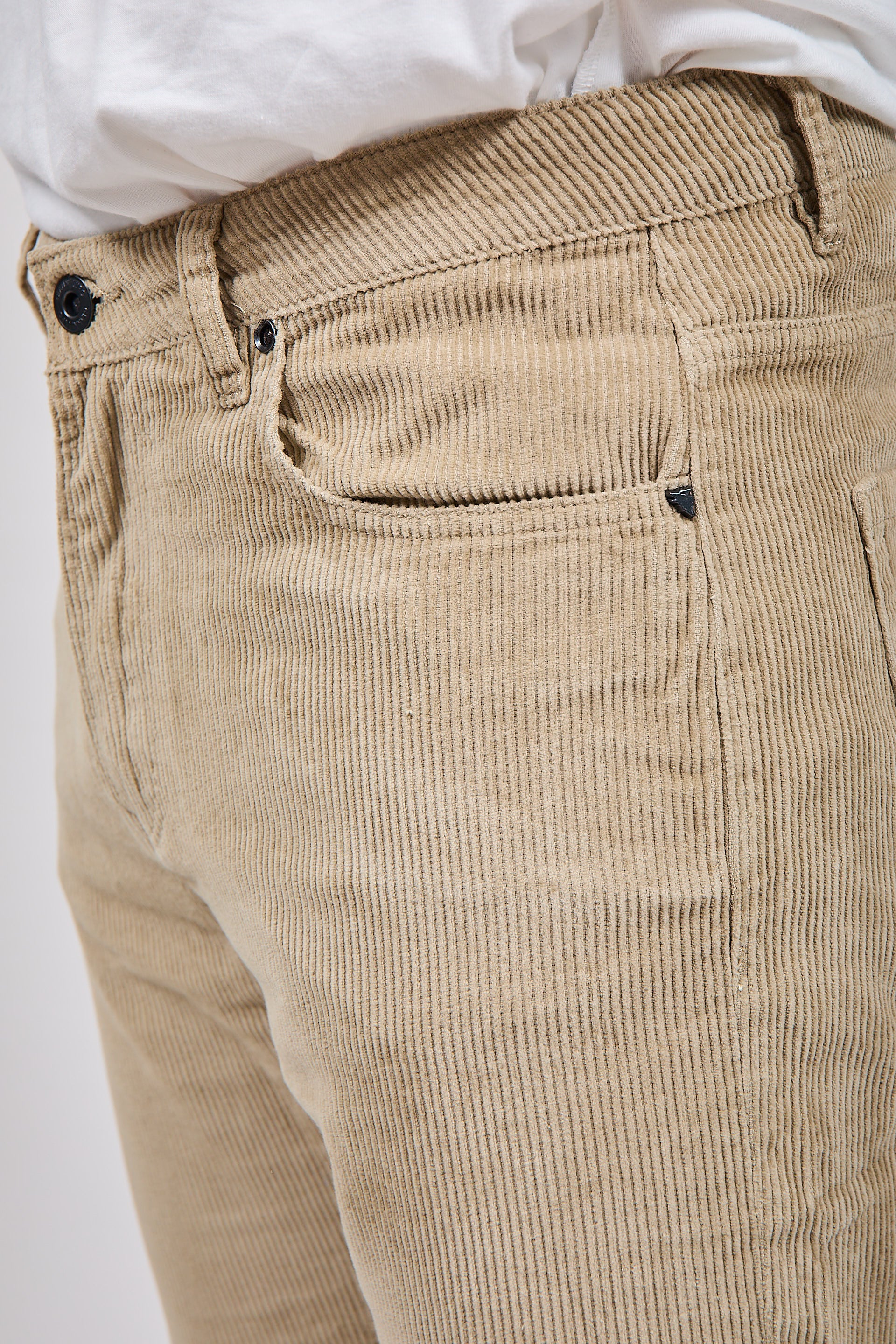 Pantalone Gianni Lupo Velluto Cammello 6227