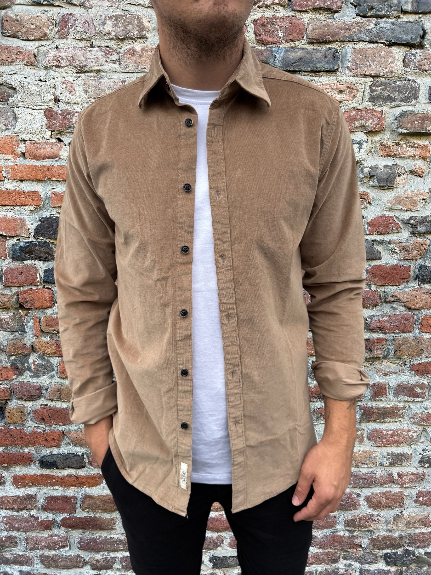 Camicia Gianni Lupo Velluto 8007 Cammello (12242123325780)