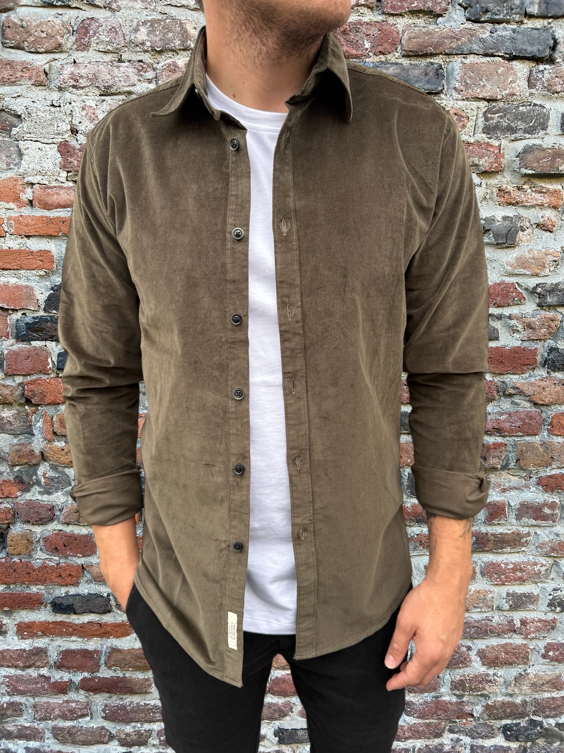 Camicia Gianni Lupo Velluto 8007 Militare (12242120147284)