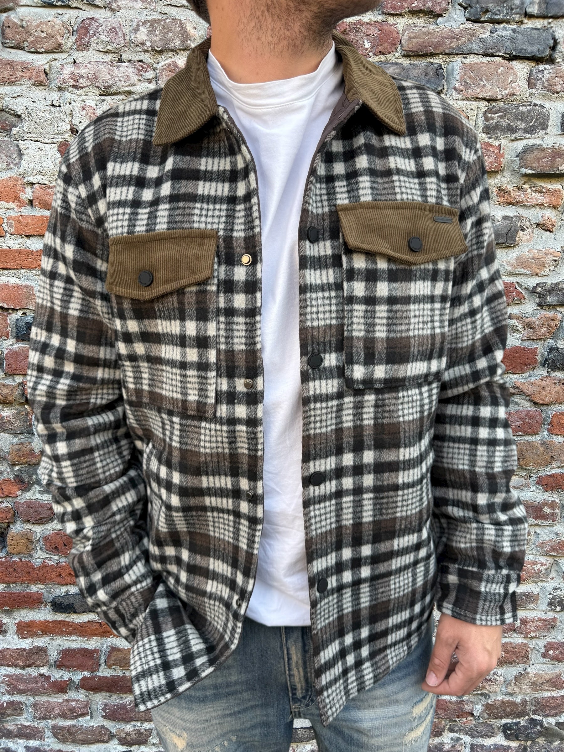 Giacchetta Gianni Lupo Quadri 5199 (12293322015060)