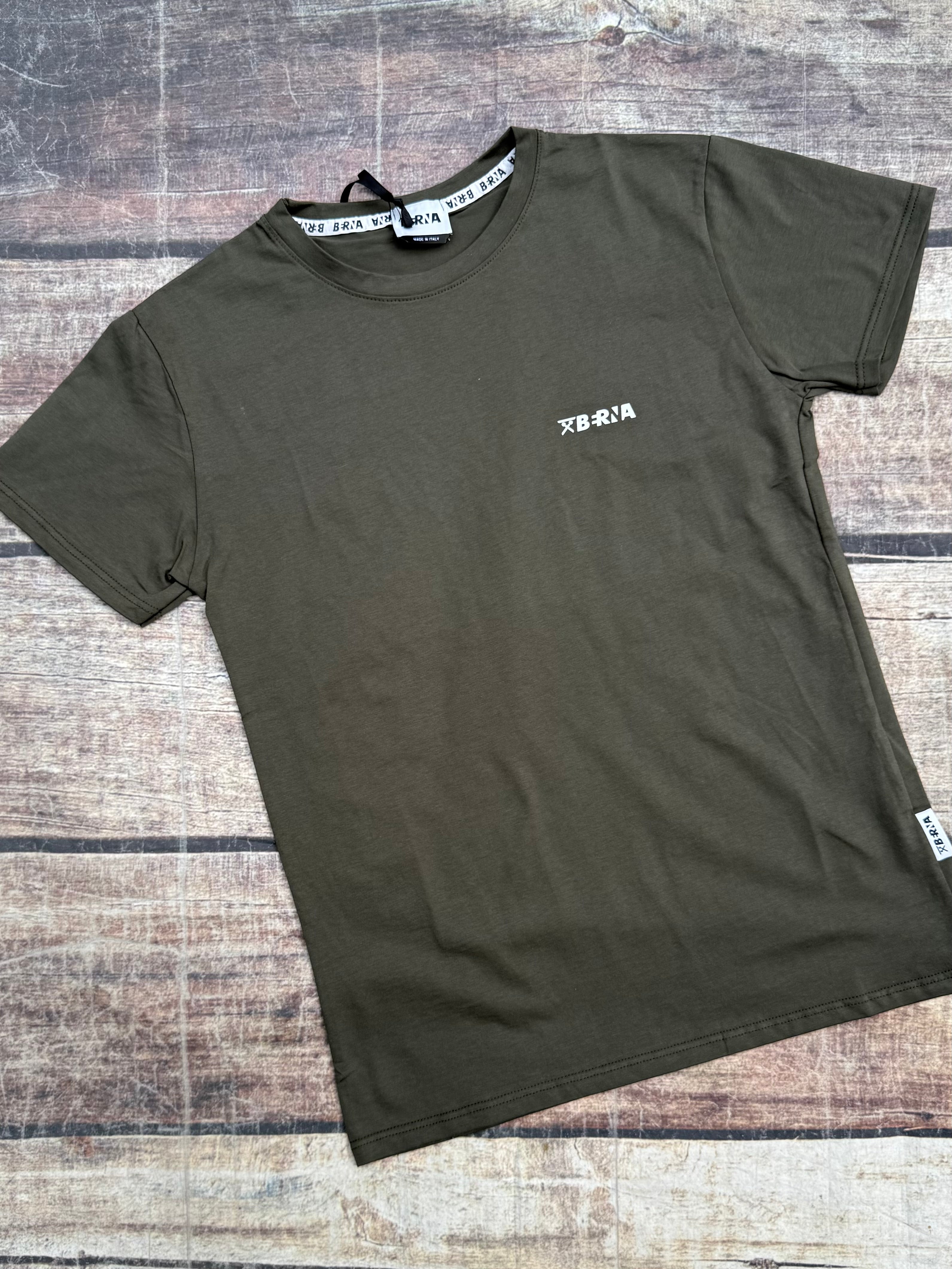T-shirt Berna Logo Militare 72 (12062084956500)