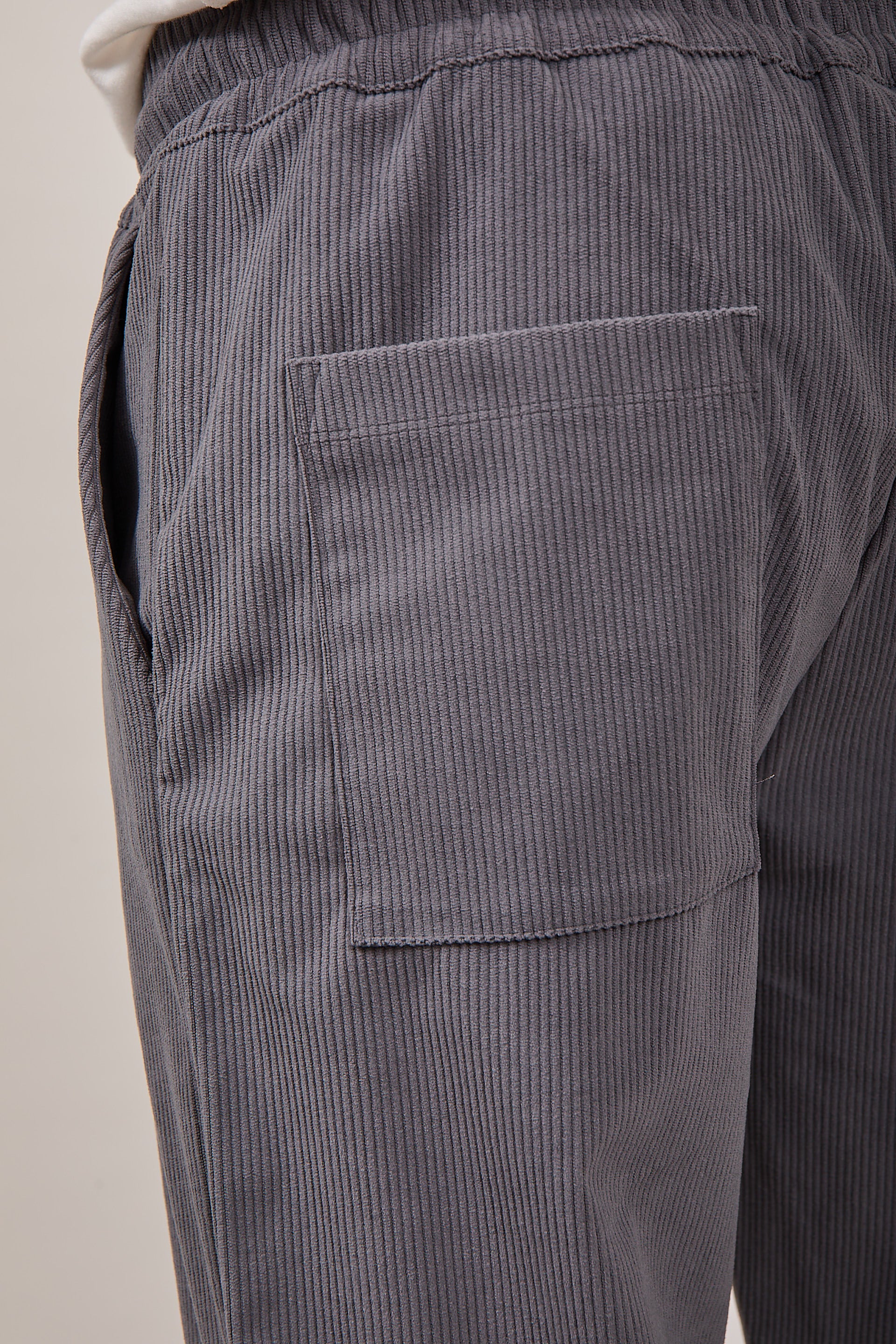 Pantalaccio Why Not Velvet Grigio PL75 (12318741725524)