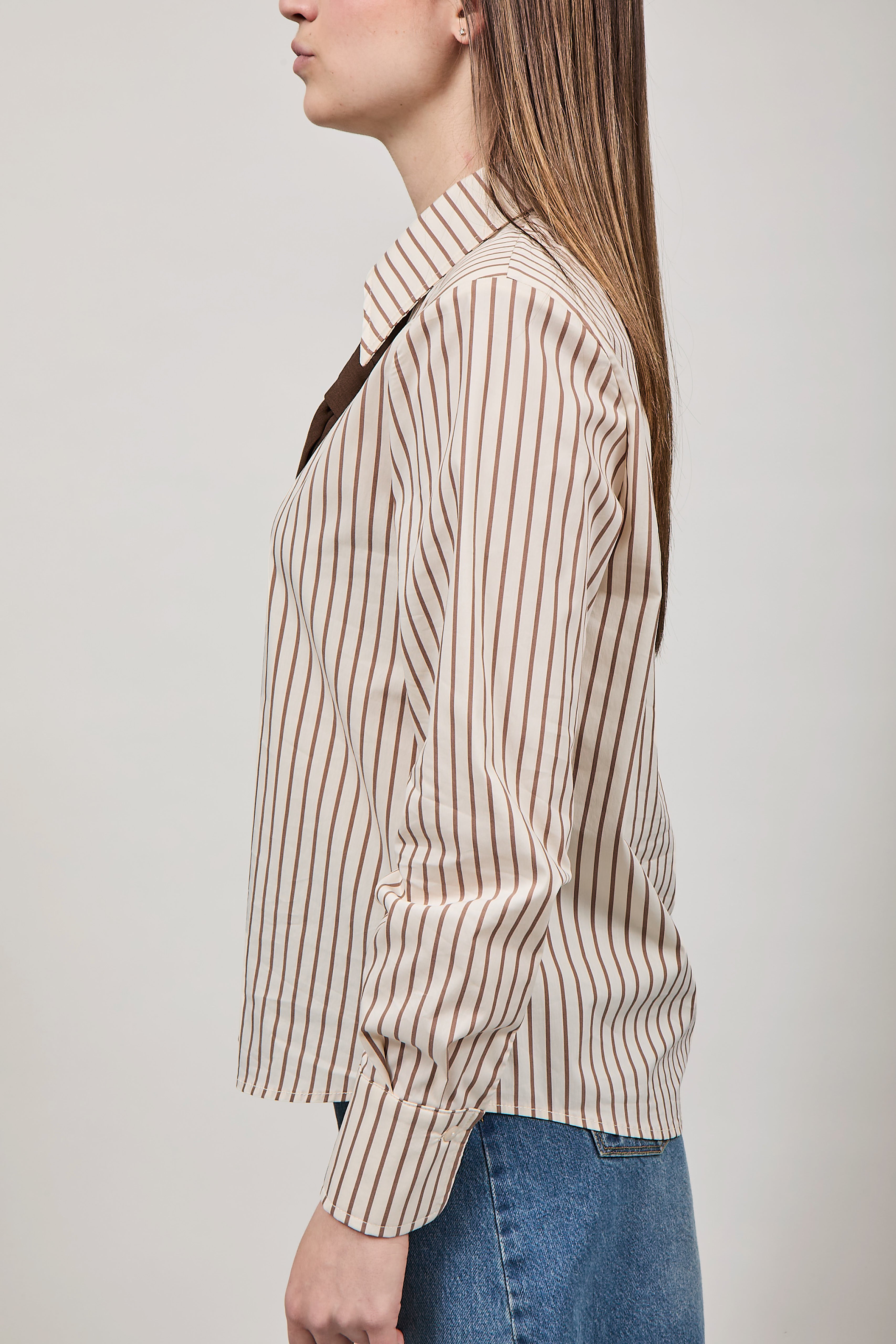 Camicia Haveone Rigata Cravatta