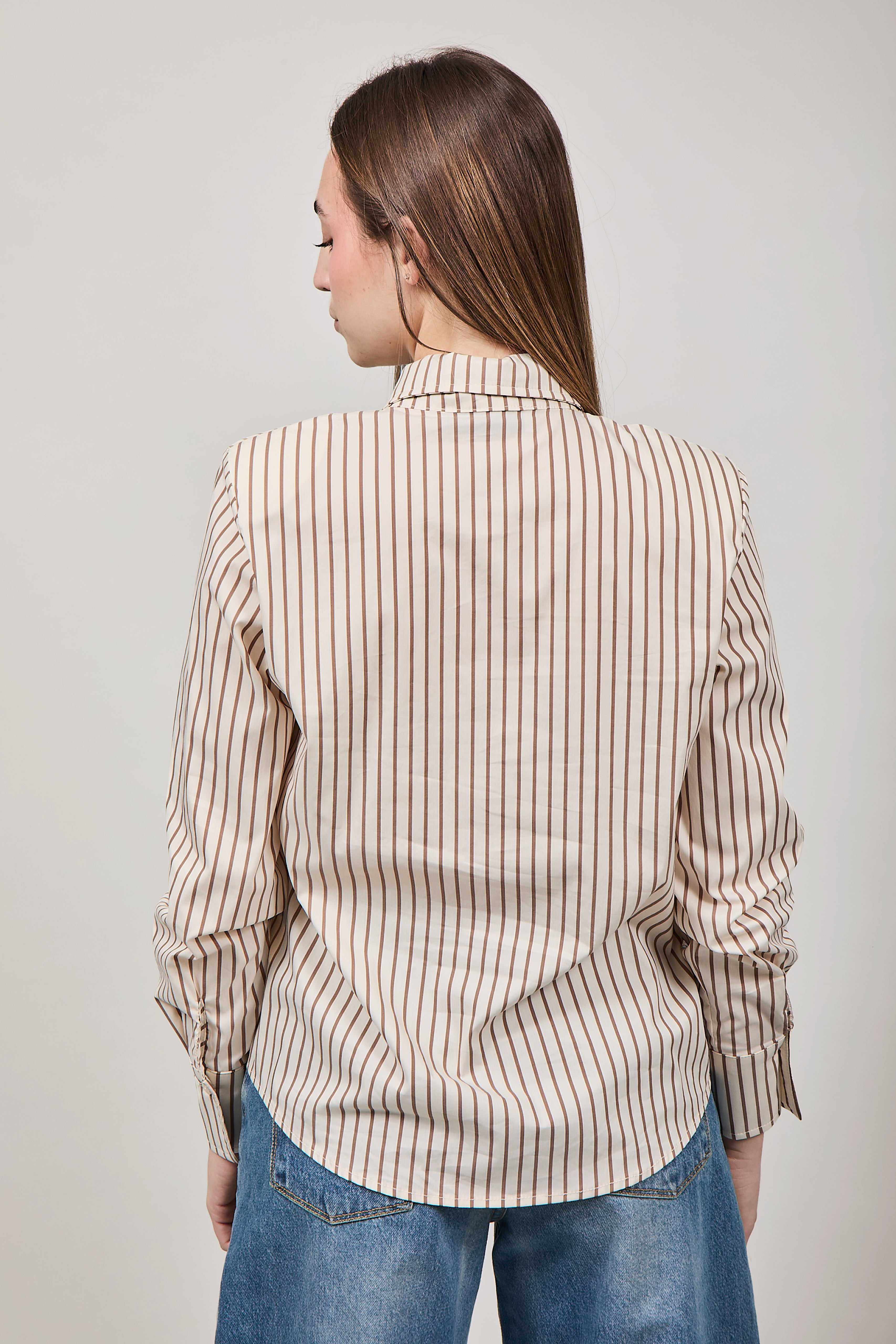 Camicia Haveone Rigata Cravatta