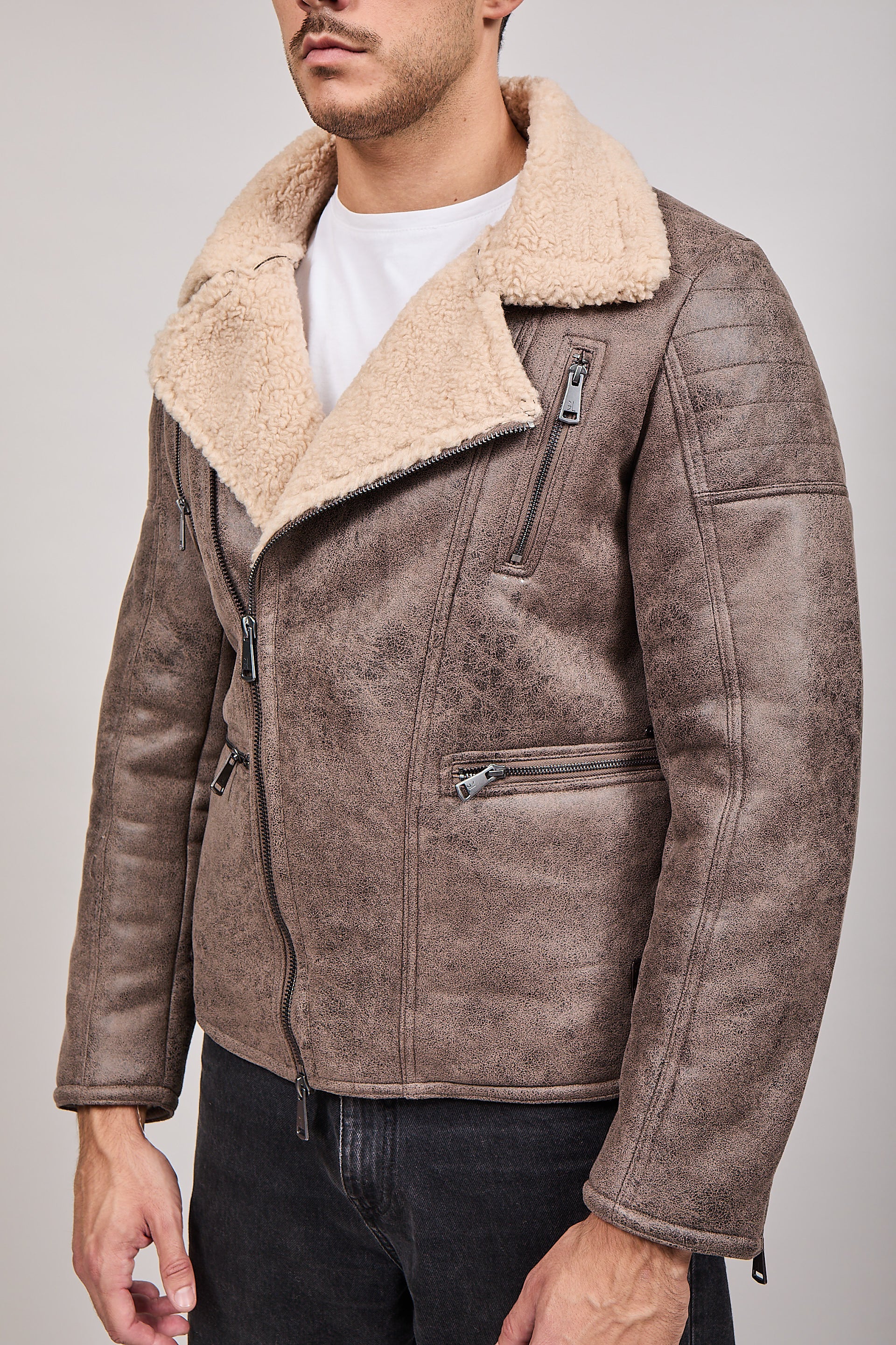 Montone Gianni Lupo Tortora 9824