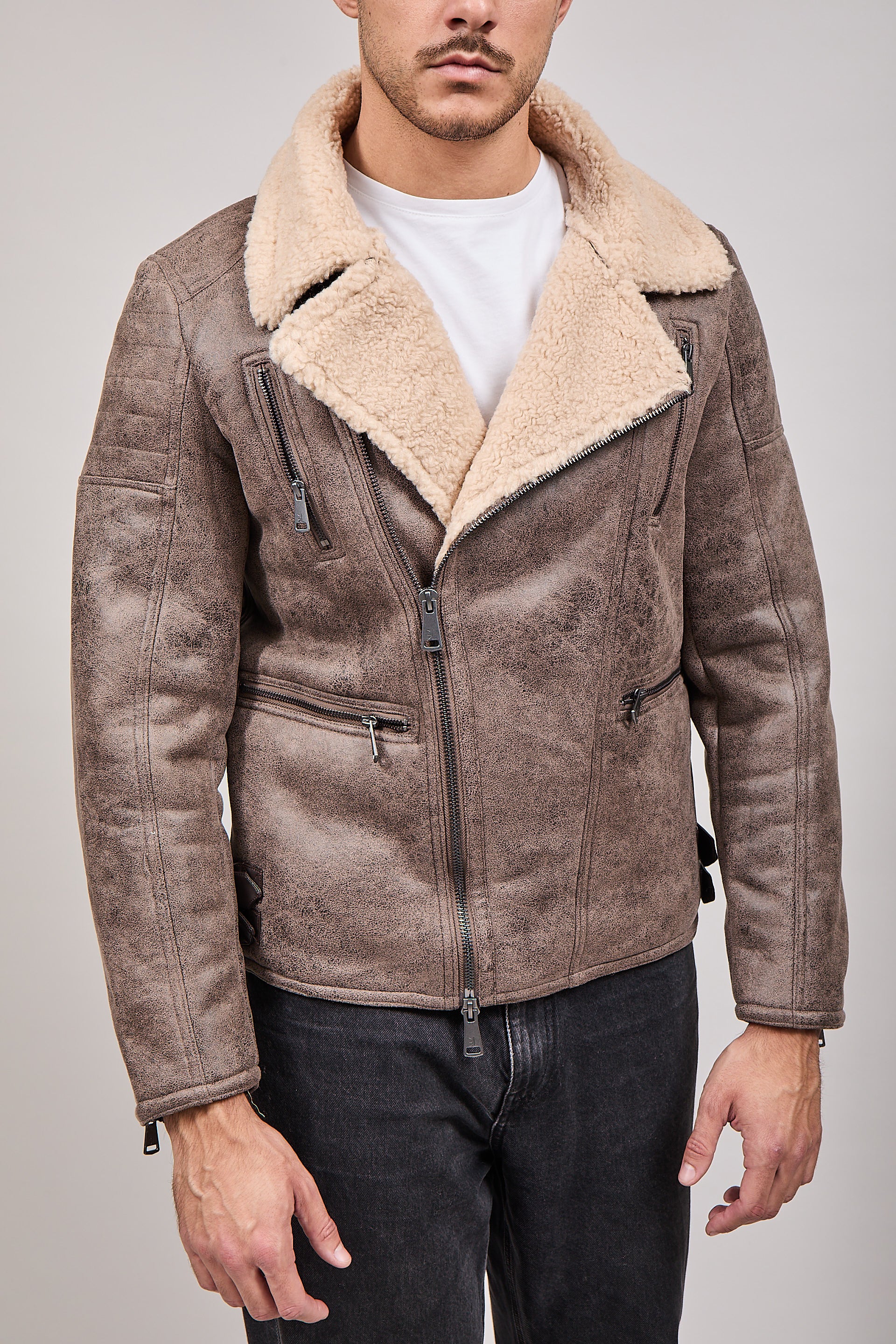 Montone Gianni Lupo Tortora 9824