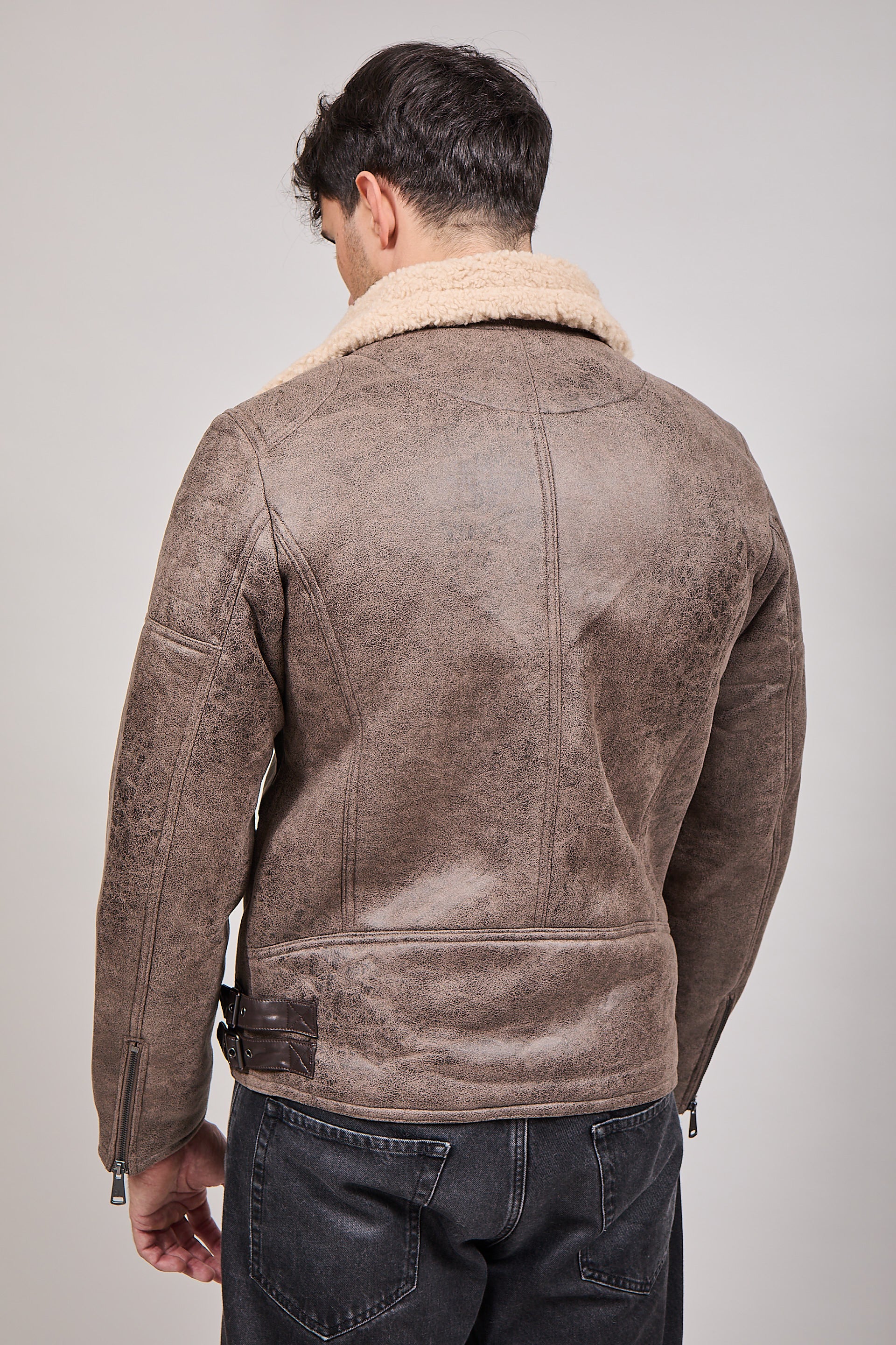 Montone Gianni Lupo Tortora 9824