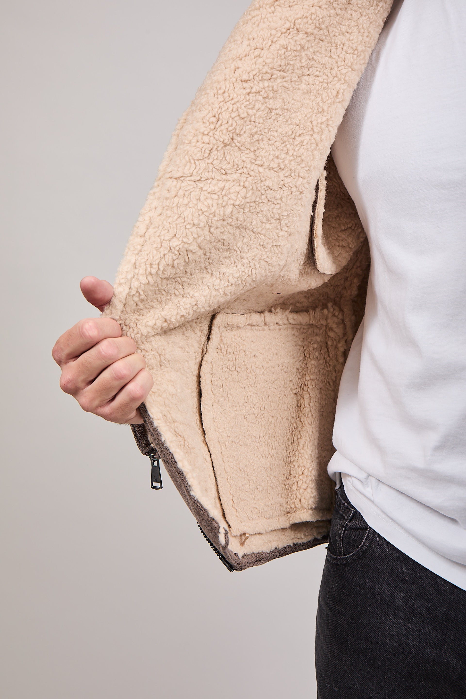 Montone Gianni Lupo Tortora 9824