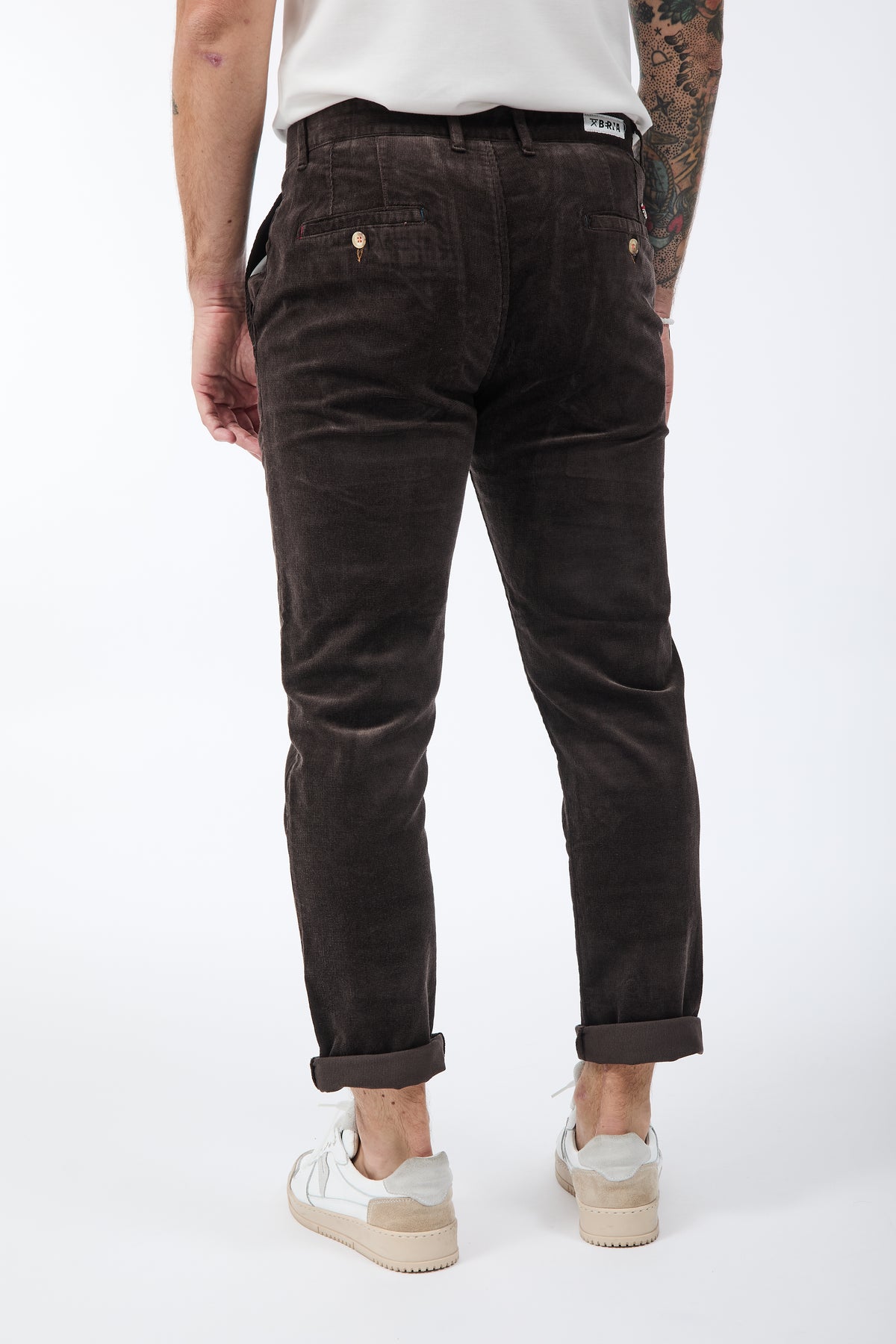 Pantalone Berna Chinos Velluto Caffè 310