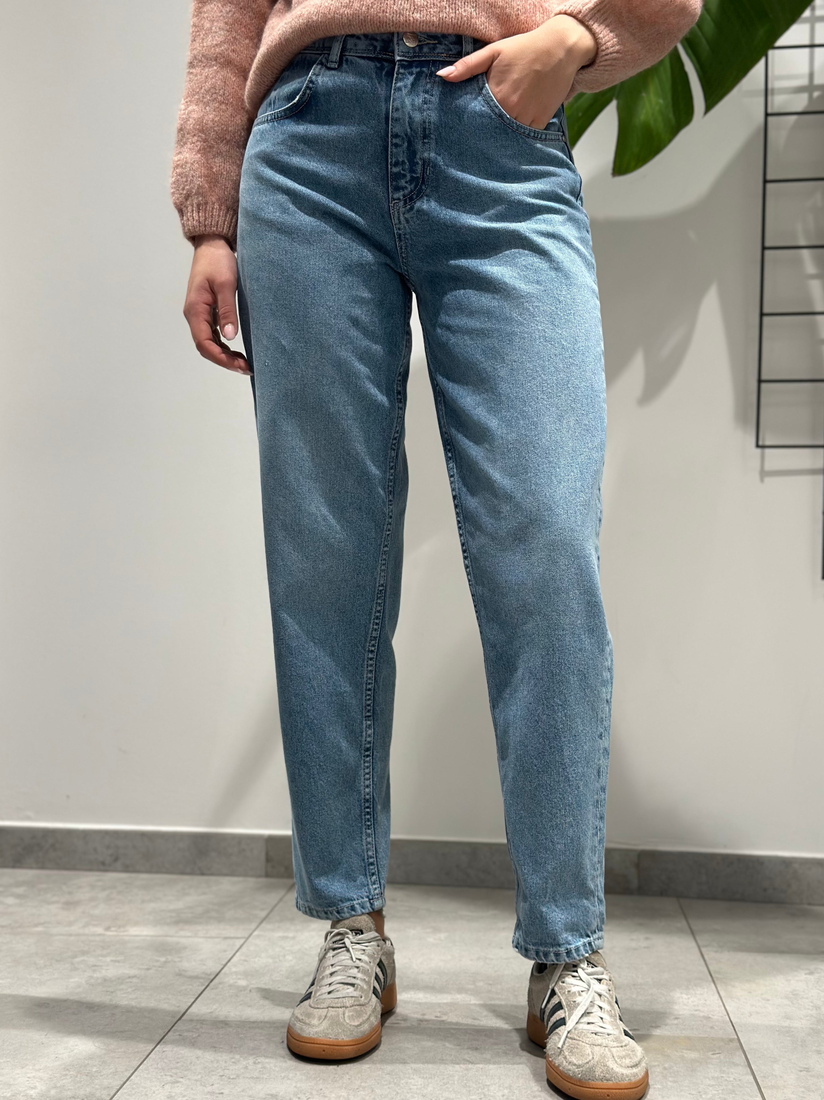 Jeans Pont Carrot Light 027