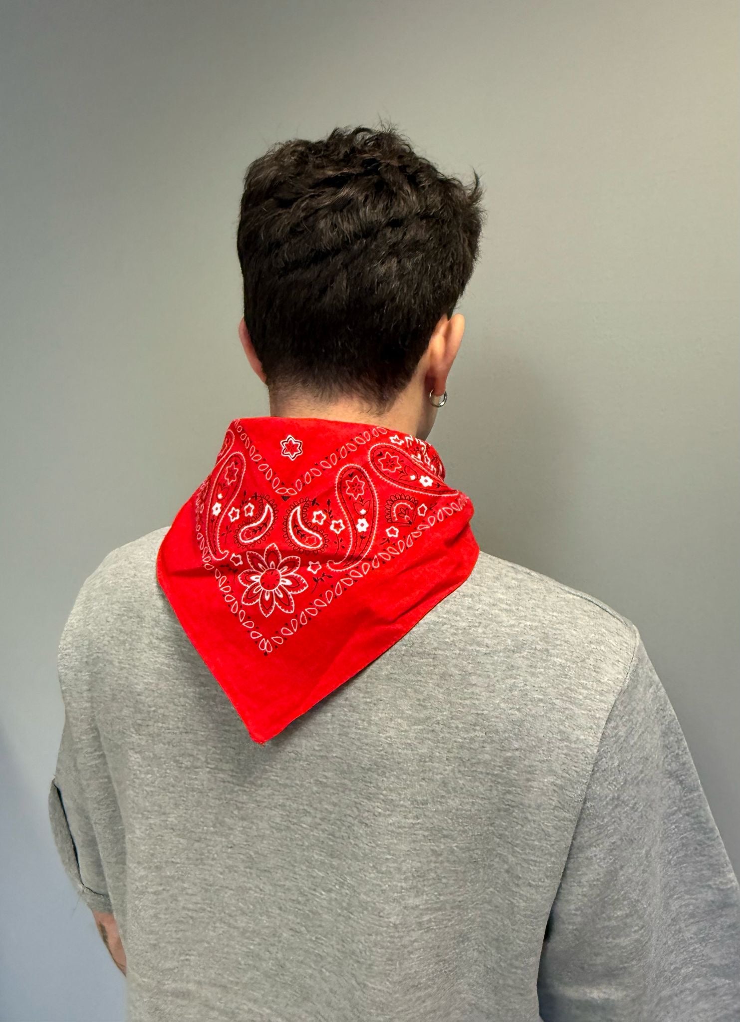 Felpa Berna Bandana Grigio Melange (11909754061140)